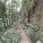 Track below cliffs