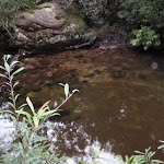 Clear pool in Magdala Creek