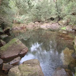 Pool in Sassafras Creek