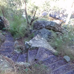 Steps on Glenbrook Gorge Track