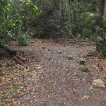 Rocks lining track through Victory Track clearing
