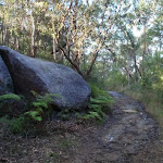Rocks by the Blackwattle trail
