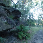 Nice rock outcrops along the Blackwattle trail