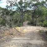 Stringybark Ridge management trail