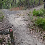 Junction of Stringybark ridge management trail and the GNW