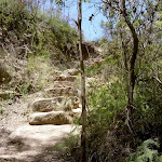 Stairs north of Pope's Glen