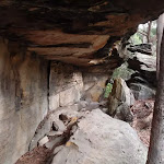 One of the large overhangs at Callicoma Caves