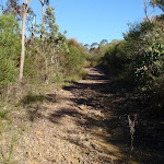A stretch of the Salvation Loop track