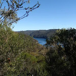 View from the end of Wallaroo track