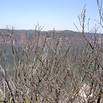 View over bush into the Grose Valley