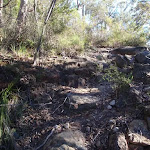 A rocky section of the Willunga track