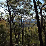 Glimpses through the trees on the Willunga track