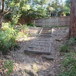 Some steps leading down from the Blackwattle trail