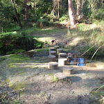 Stepping stones across Disturbed creek