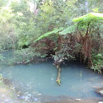 A colourful pool in Disturbed creek