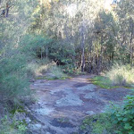 Small rock outcrops on the track