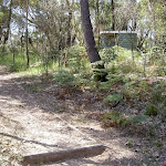 Evans Lookout toilets next to track