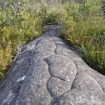 Nice rock textures
