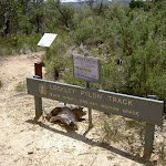 Start of Lockleys Pylon Track