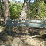 Prince Henry Cliff Walk