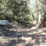 Near the start of the Shepherds Gully trail