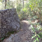 A boulder beside the track