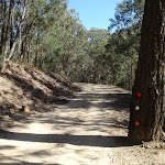 Dubbo Gully Rd management trail