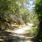 Track east of Echo Point