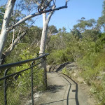 Track from Reids Plateau