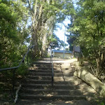 Steps near int of Prince Henry Cliff Walk and Reids Plateau loop