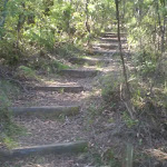 The trail between the Kiosk and Scenic World