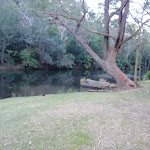 Willow Tree Picnic Area