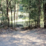 Short track leading to Willow Tree picnic area