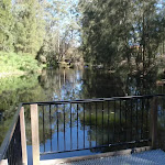 Viewing platform at The Lakes of Cherrybrook