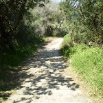 Henry Head Track, near La Perouse