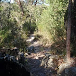 Piles Creek Loop track