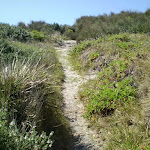 Narrow track near Cape Banks