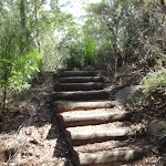 Steps between Illoura Lookout and Piles Creek