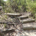 Steps above Boondi Lookout