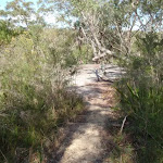 Track leading to Engraving site