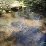 pool on Piles Creek
