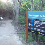 Track sign at Wentworth Falls Lookout