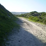 Sandy track near Maroubra Bay and Beach
