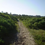 Sandy track near Maroubra Bay 
