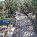 Stairs down from Conservation Hut