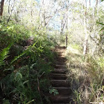 Stairs along the Nature Track