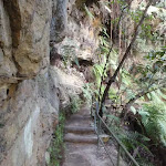 Track between Gorden Falls Reserve and Pool of Siloam