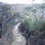 Track to Golf Links Lookout