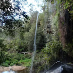 Waterfall next to Lyrebird Dell