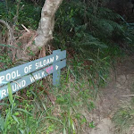 Pool of Siloam sign